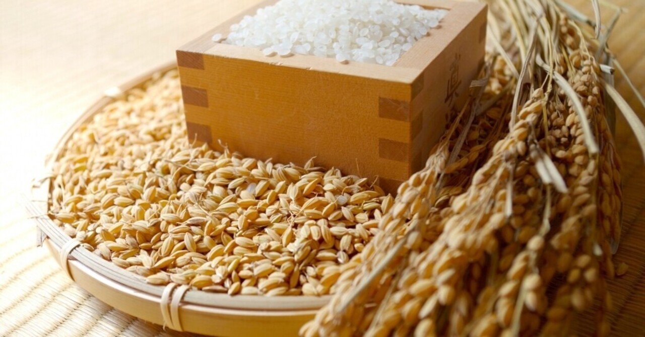 【自然農】バケツでお米を作るプロジェクト！チャレンジします♪