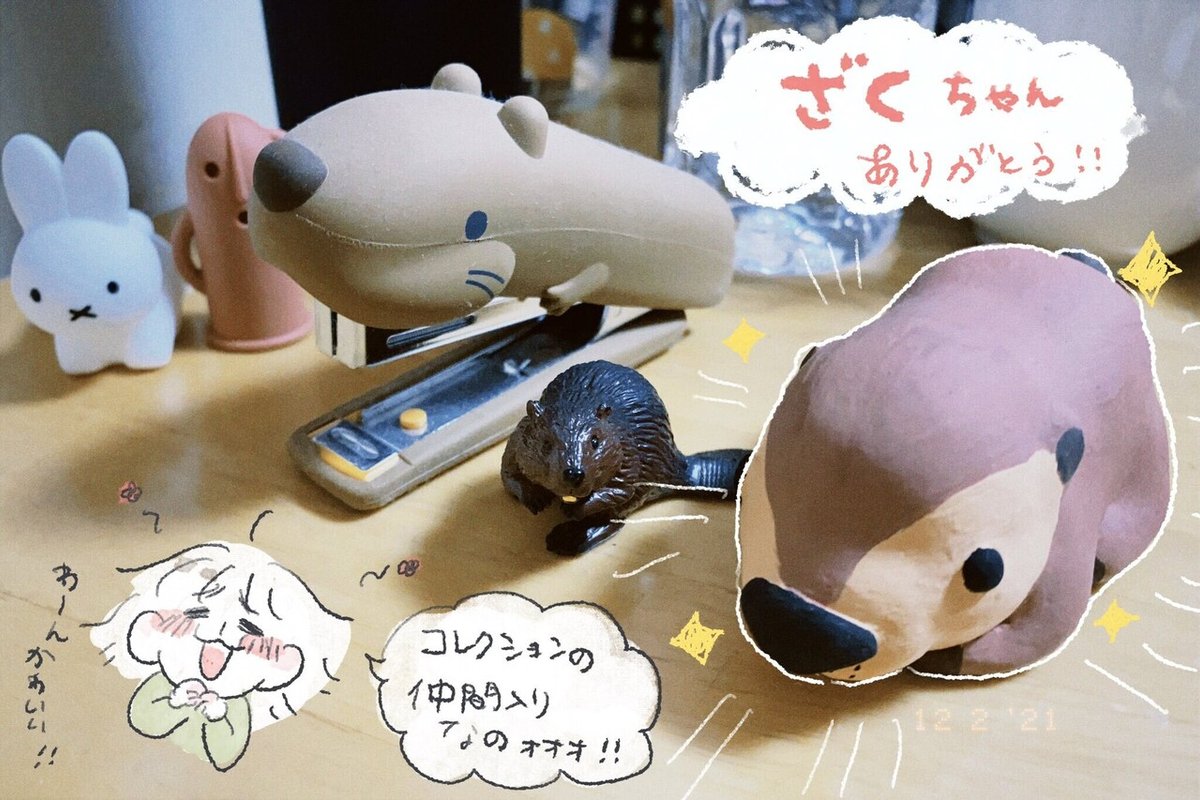 スーパービーバーちゃん SUPER BEAVER ビーバーちゃん、HOODIE受注販売開始 | 【SUPER