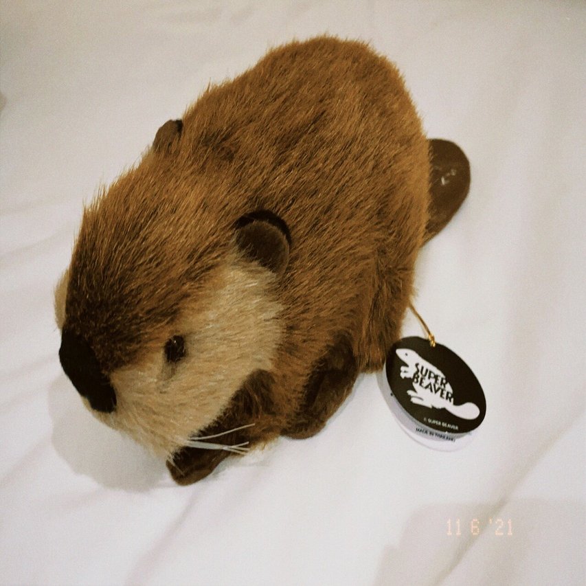 世界的に super つかいこなす beaver 吉徳ぬいぐるみ スーパービーバーコラボ ミュージシャン