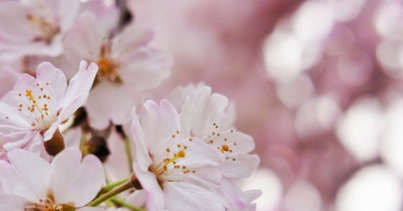 三谷たくみ の新着タグ記事一覧 Note つくる つながる とどける