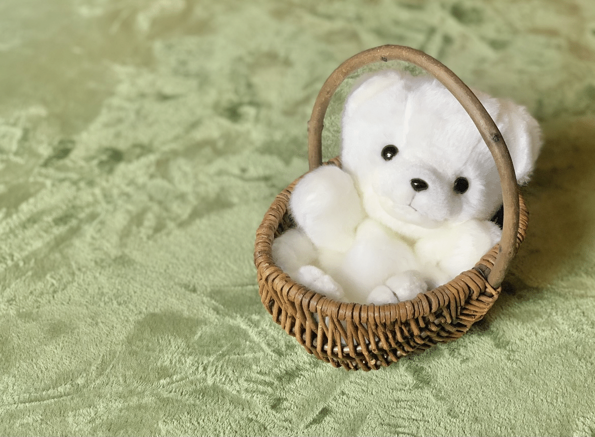 くまちゃんですっ！｜ともみ