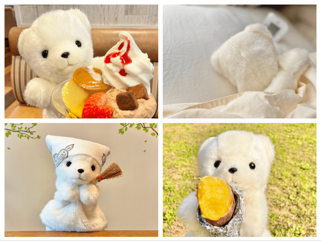 くまちゃんですっ！｜ともみ