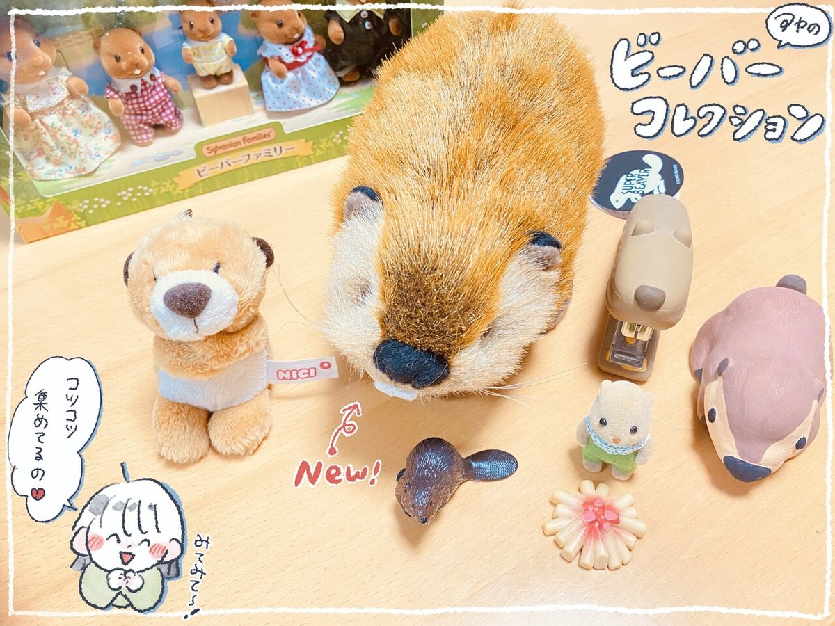 スーパービーバーちゃん SUPER BEAVER スーパービーバー ビーバーちゃん＆空き缶