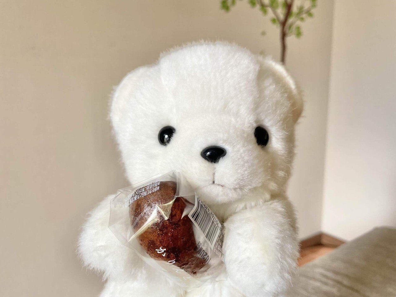 くまちゃんですっ！｜ともみ