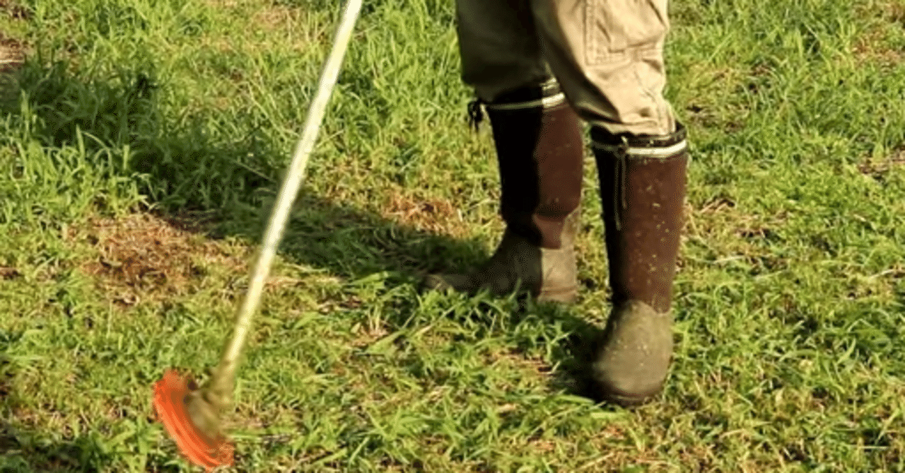 草刈り】ナイロンカッターの上手な草刈り法をご紹介｜井上寅雄農園
