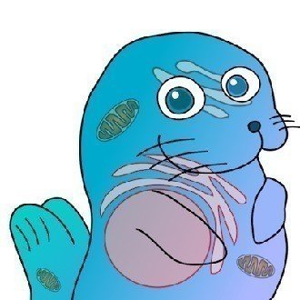 動物イラスト 理系の研究で良く出てくる動物たち ぷにぷにアザラシ Note