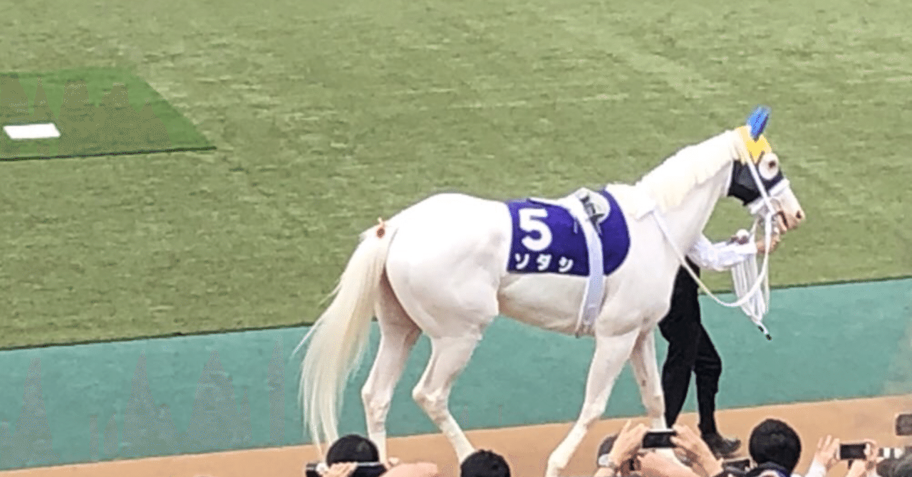白毛馬ソダシ その①｜い