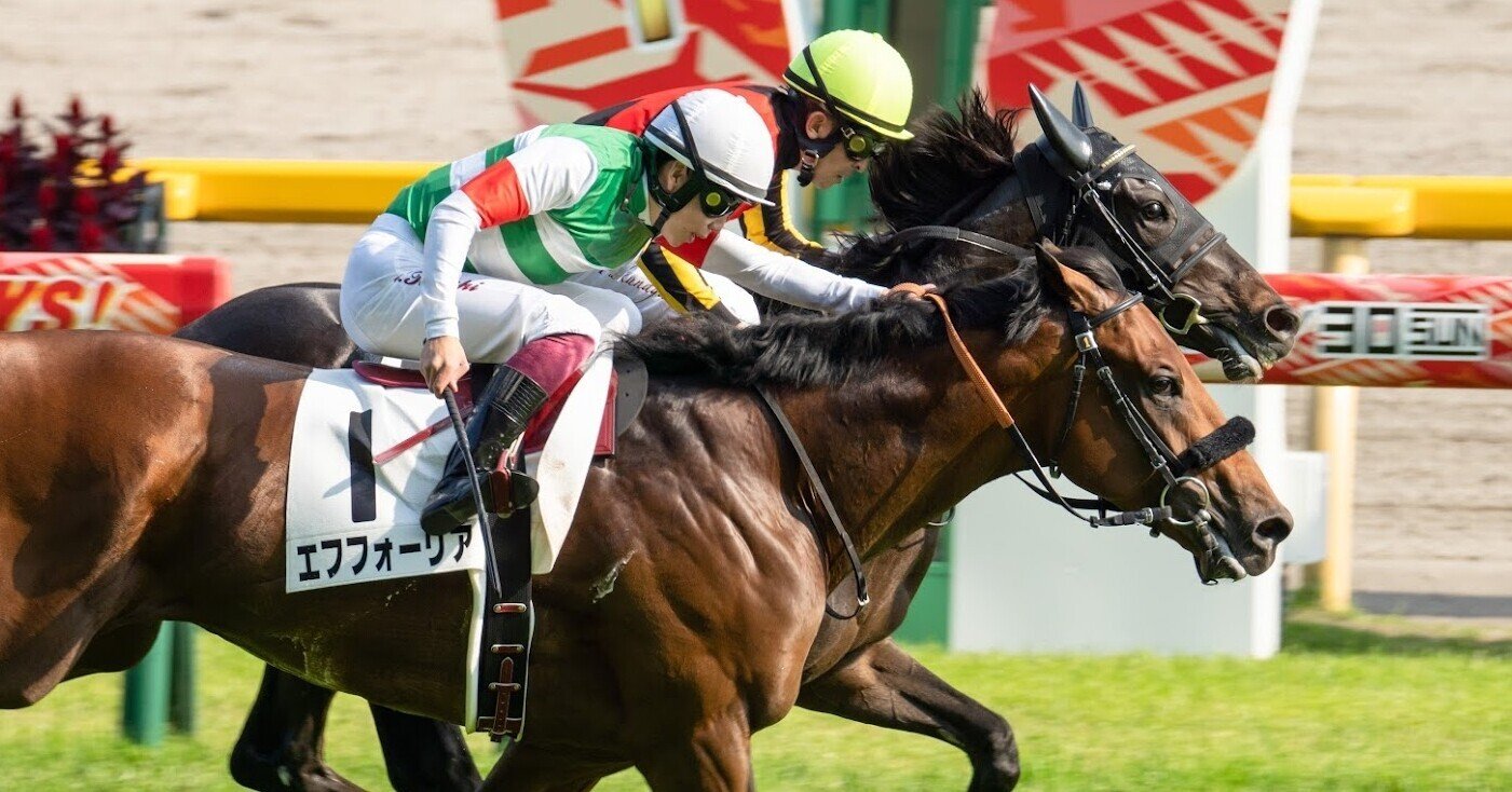 競馬好きが日本ダービー現地観戦の思い出を語っていくぜ！｜ごま