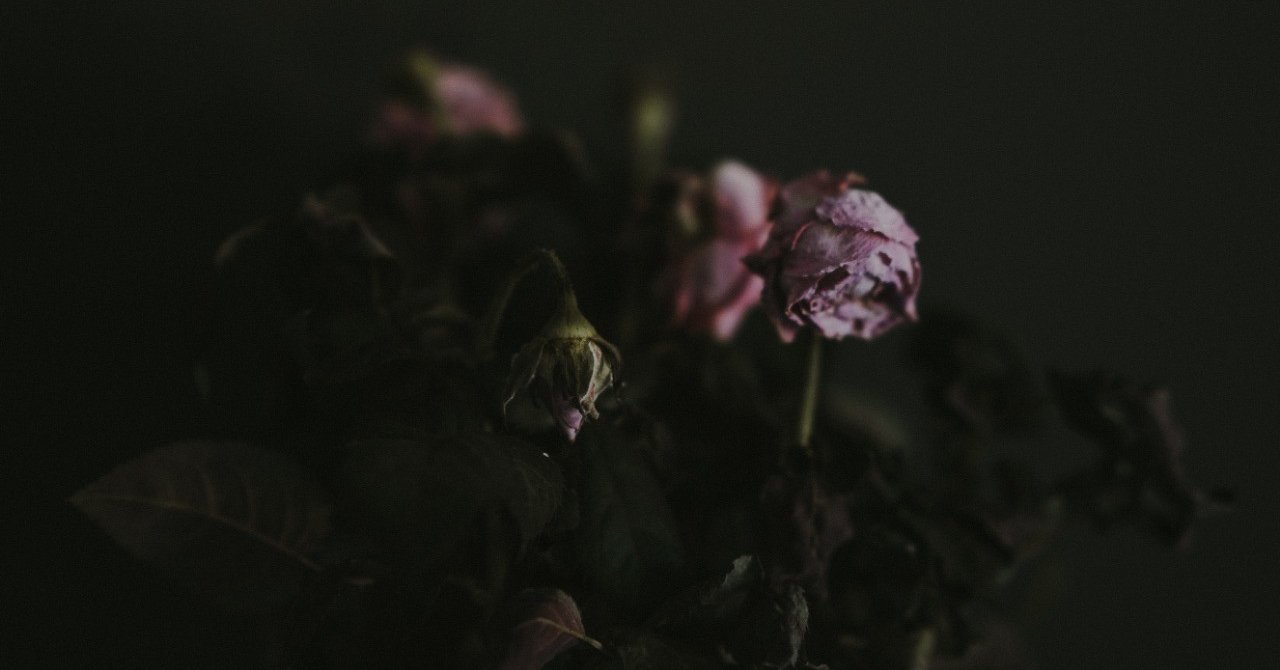 大切なひとの死を覚悟する ゆかりん 英語サロン カレッジ オーナー note