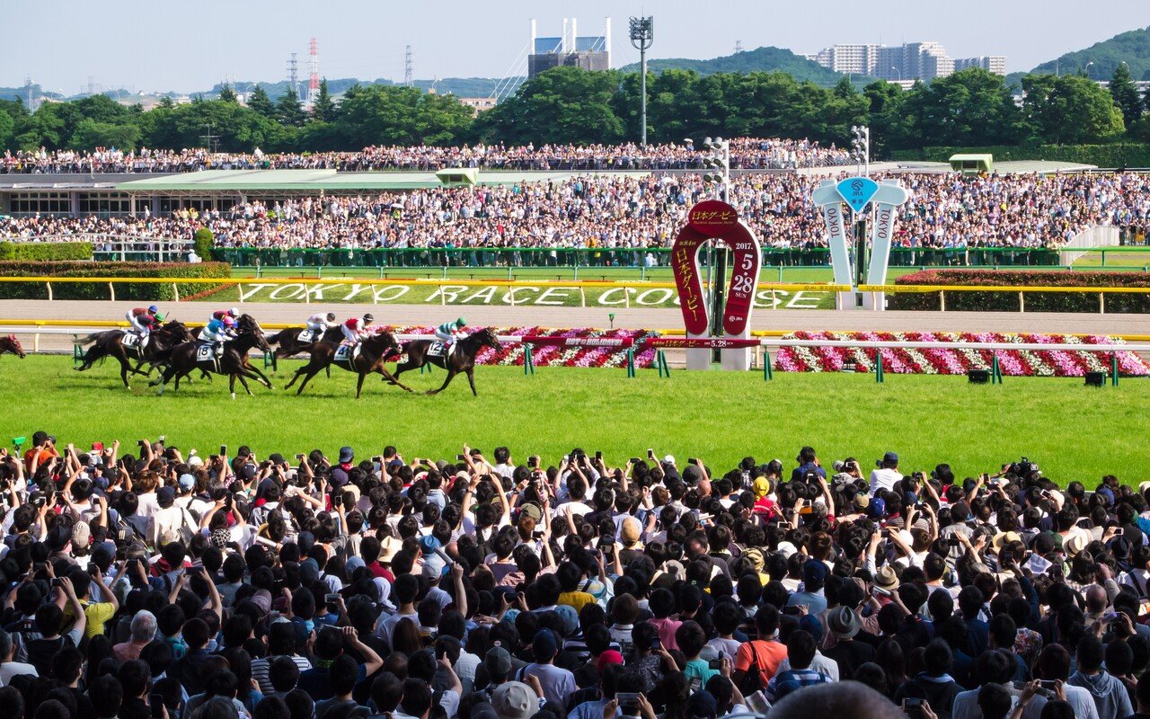 競馬好きが日本ダービー現地観戦の思い出を語っていくぜ！｜ごま