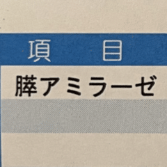 教訓＆今日の出来事