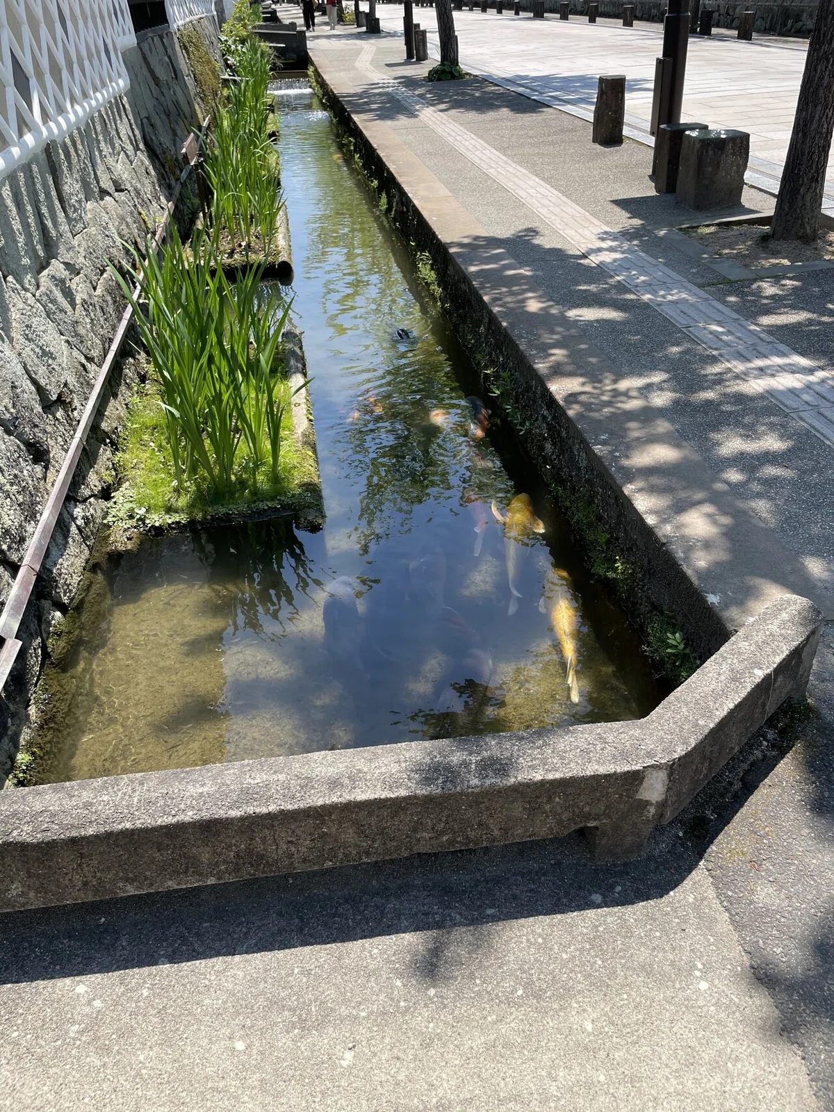 画像12