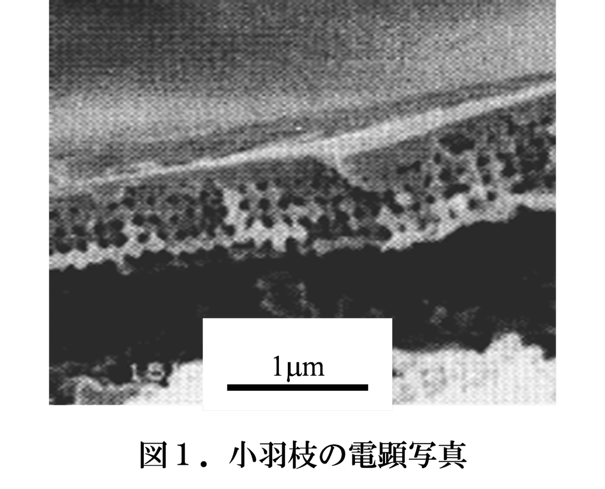 図1-1