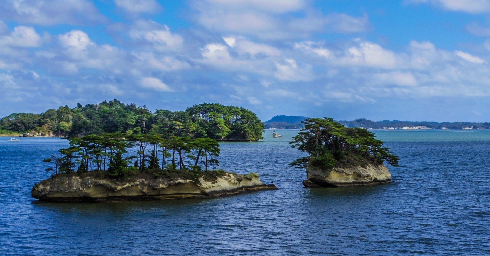 366e7cde8916bd018e83a277a2c909