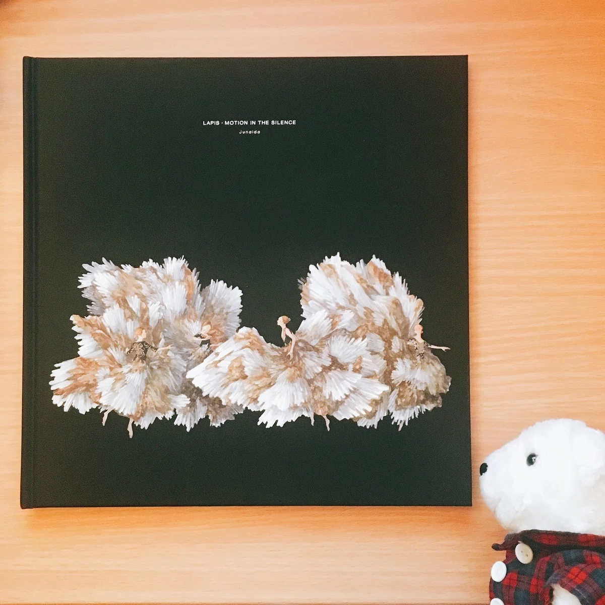 はなまめと本。『LAPIS・MOTION IN THE SILENCE』 junaida｜ヨシコンヌ