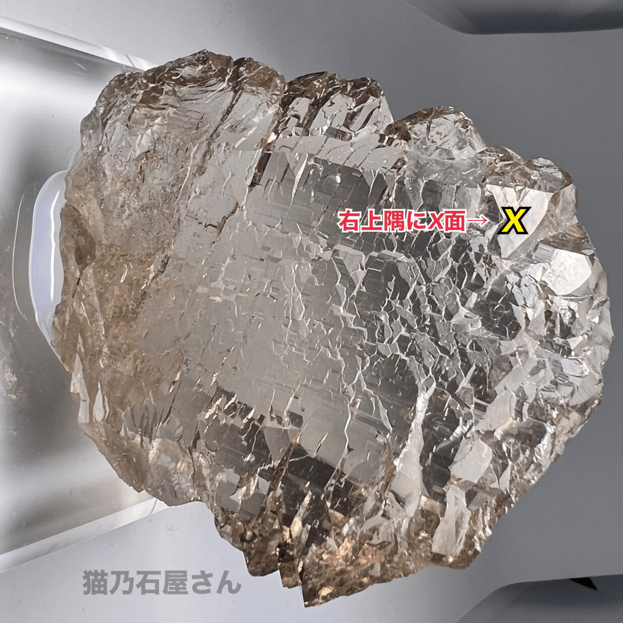 Gwindelを詳しく解説 5/20追記｜猫乃石屋さん