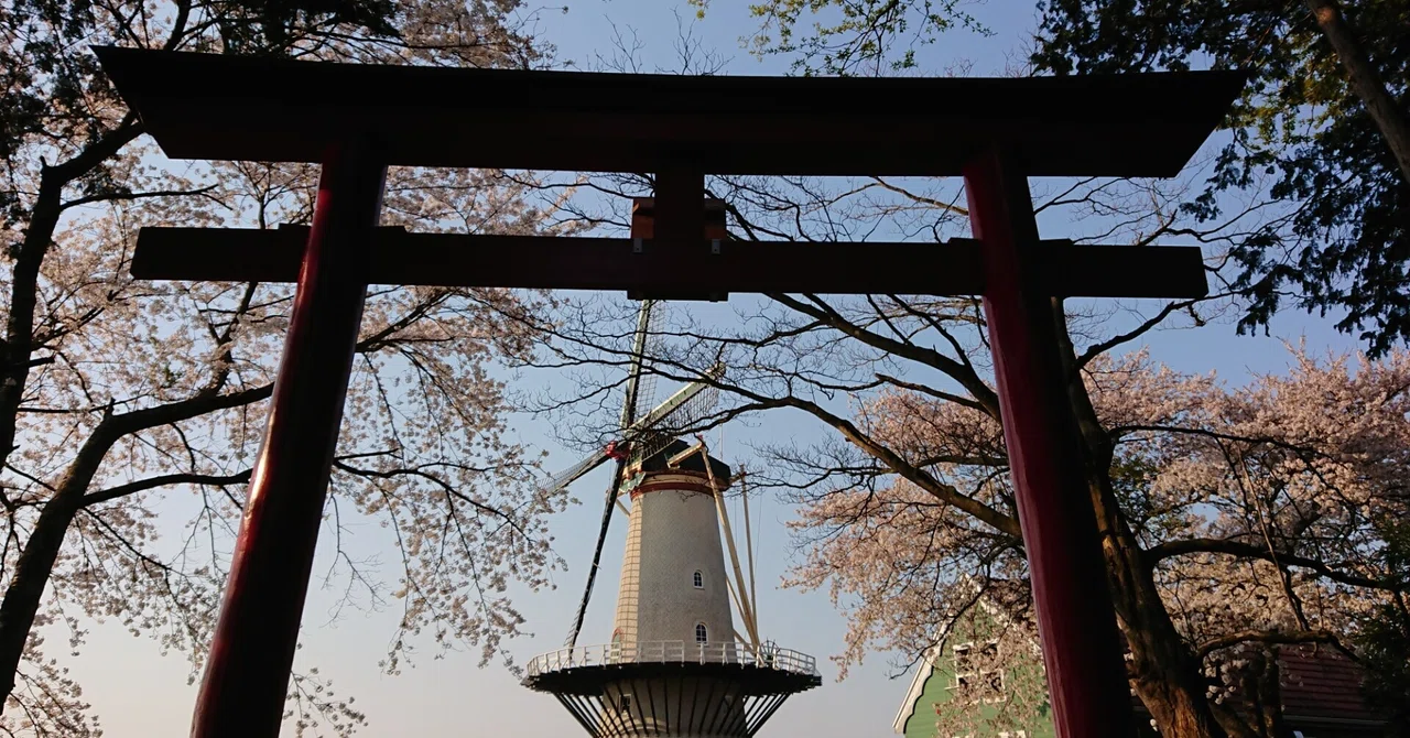 ここにいるよ「命の騒めき」菅波光太朗と犬井桃太郎物語《前編》(おかえりモネ二次小説)|宙の音|note