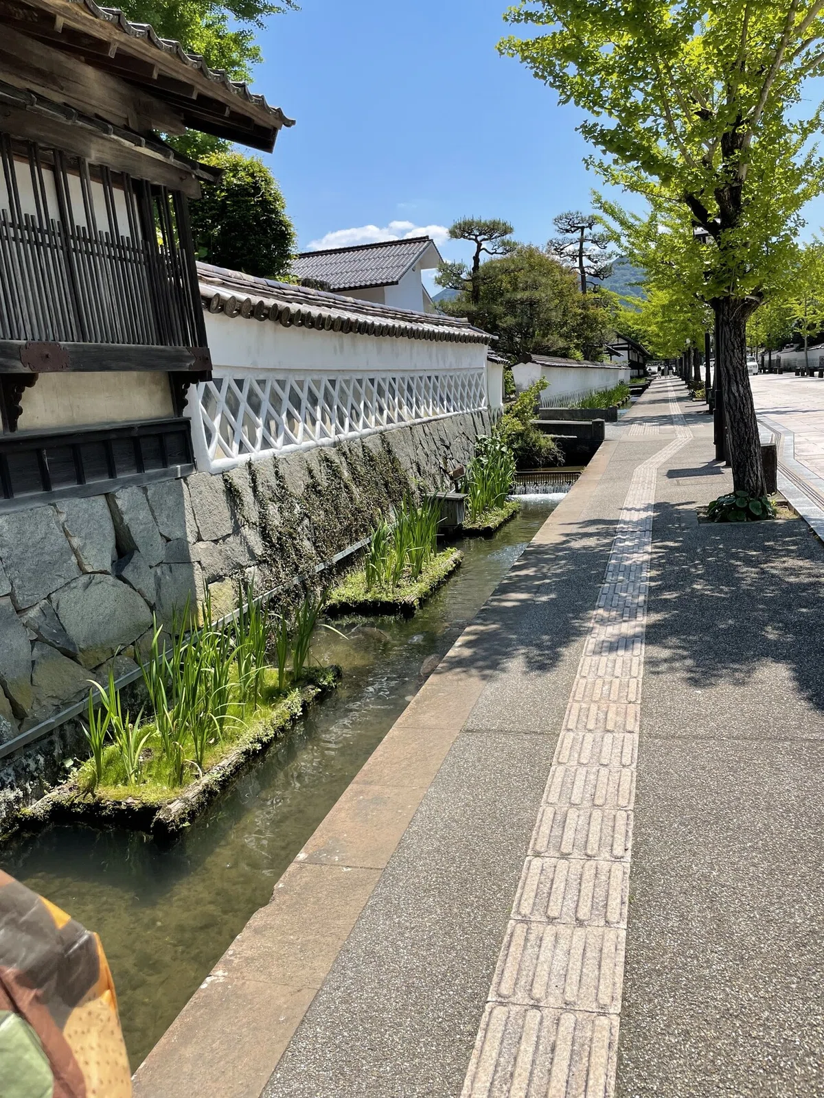 画像18