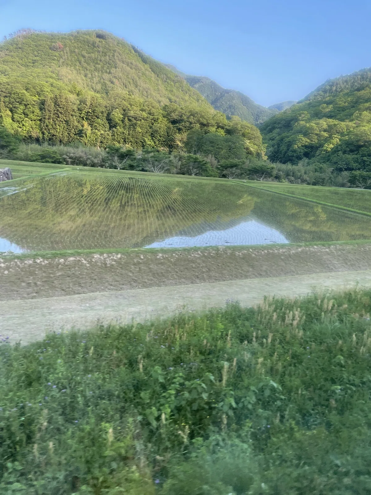 画像23