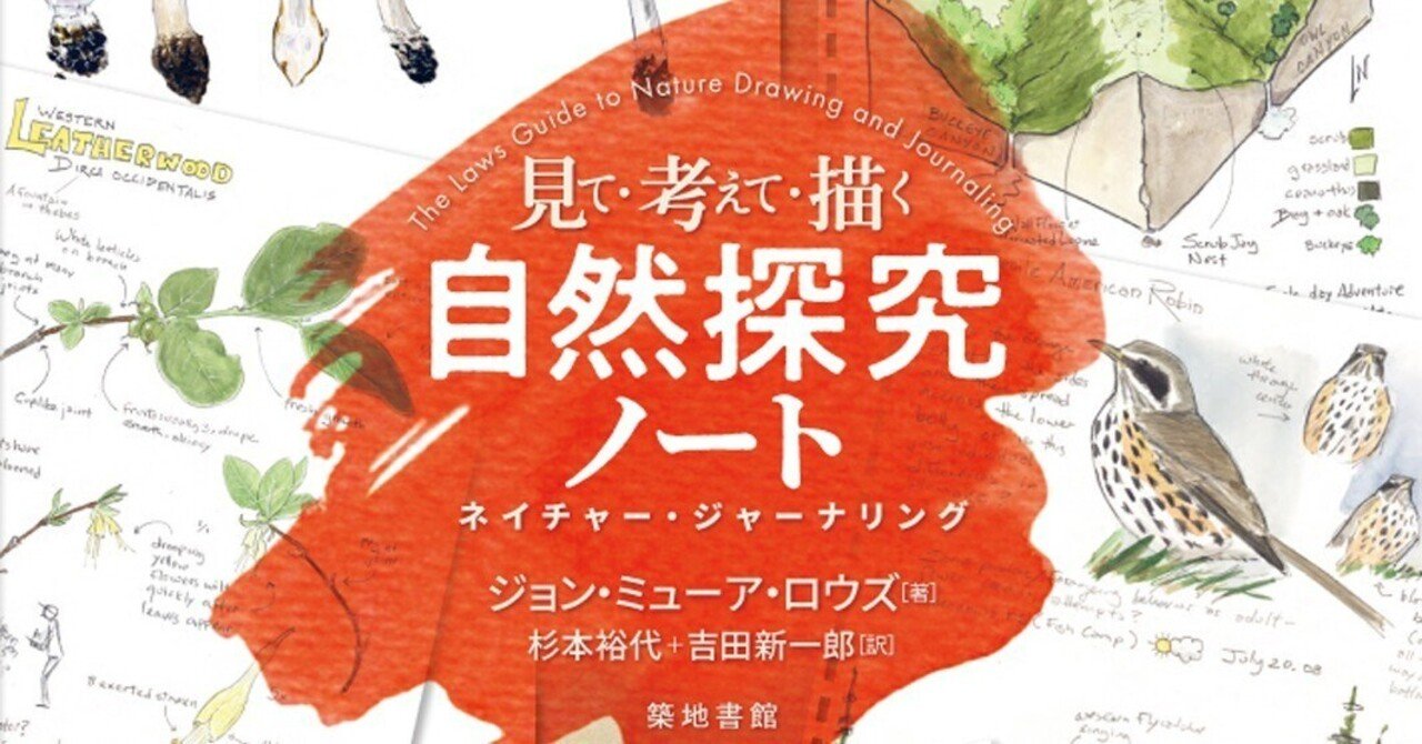 見て・考えて・描く自然探究ノートー読者からの反響|築地書館 見て・考えて・描く自然探究ノートー読者からの反響|築地書館