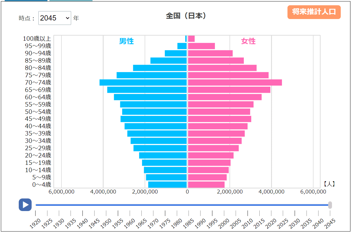 人口ピラミッド2045