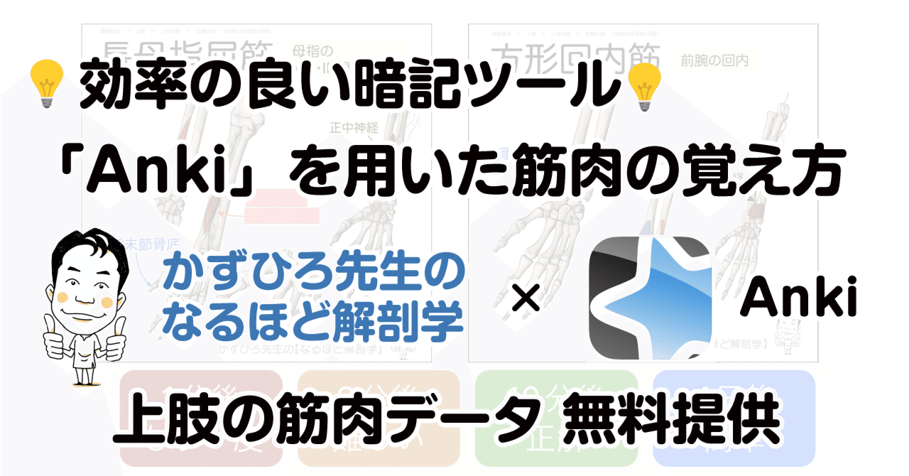 効率の良い暗記ツール Anki を用いた筋肉の覚え方 かずひろ先生 黒澤一弘 解剖学 Note 効率の良い暗記ツール Anki を用いた筋肉の覚え方 かずひろ先生 黒澤一弘 解剖学 Note