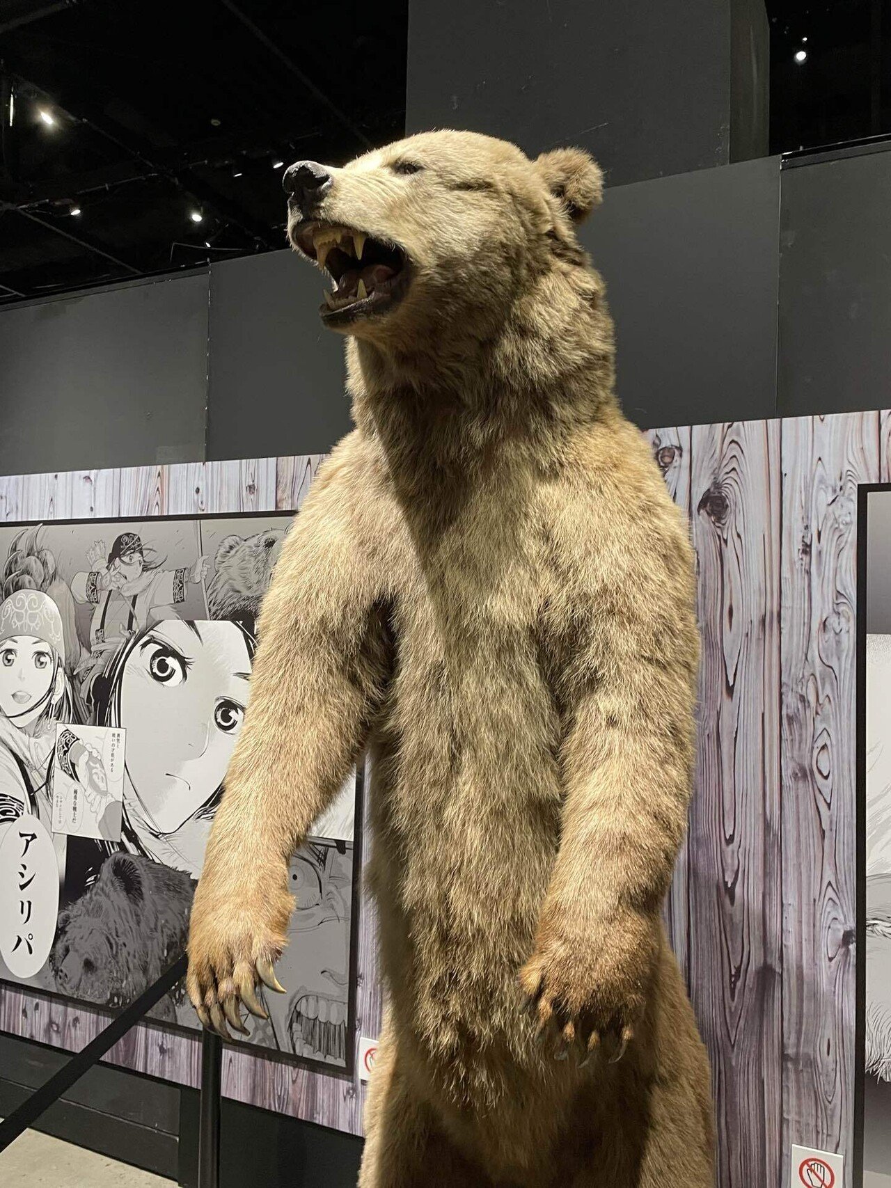 ゴールデンカムイ展爆速レポ かけい Note ゴールデンカムイ展爆速レポ かけい Note
