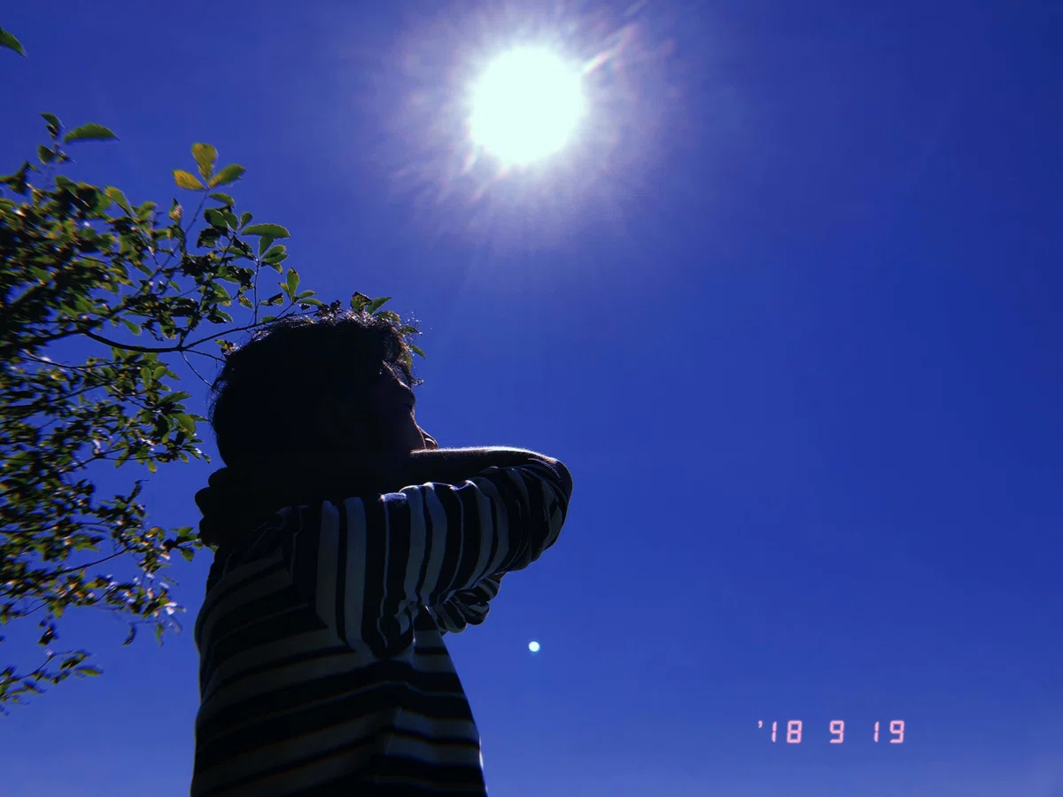 画像