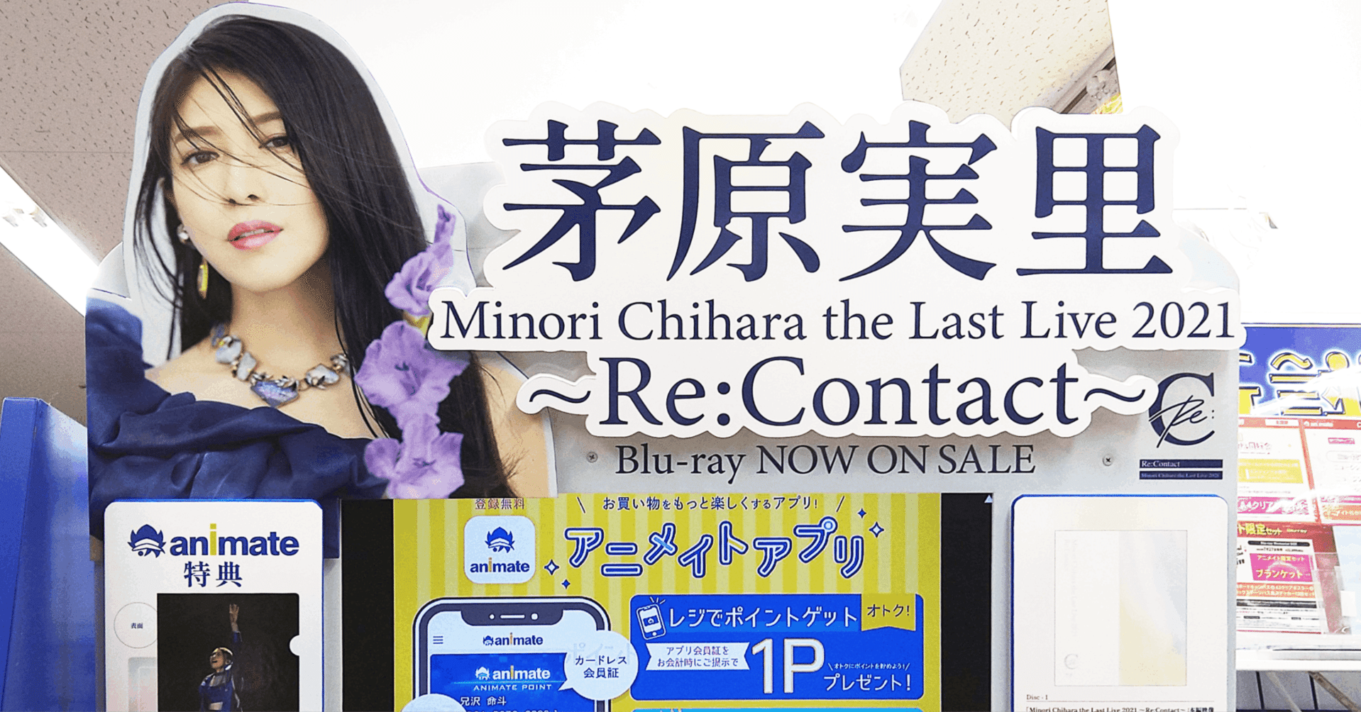 茅原実里、音楽活動休止前のラストライブ映像ディスクのご紹介と私的