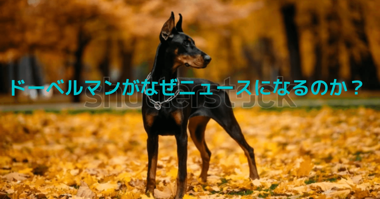 K Ceo 私論道 ドーベルマンがなぜニュースになるのか ｋ Note