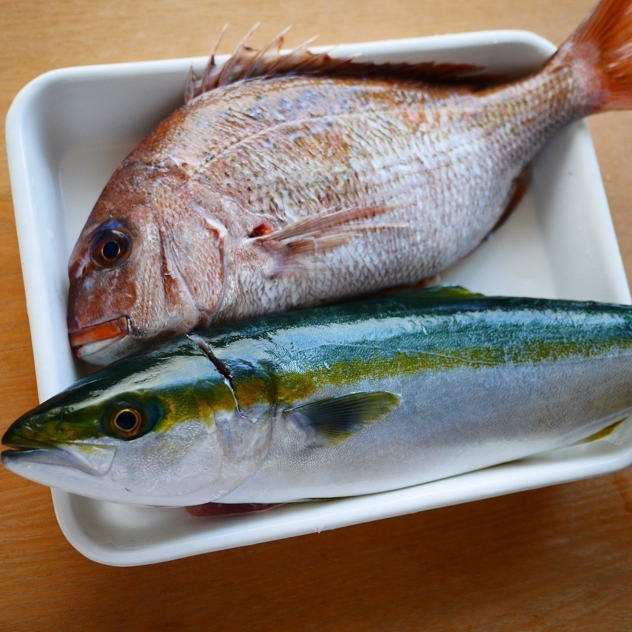 魚の香りについて Fishnude Note