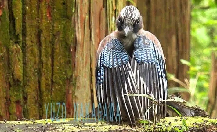 画像2