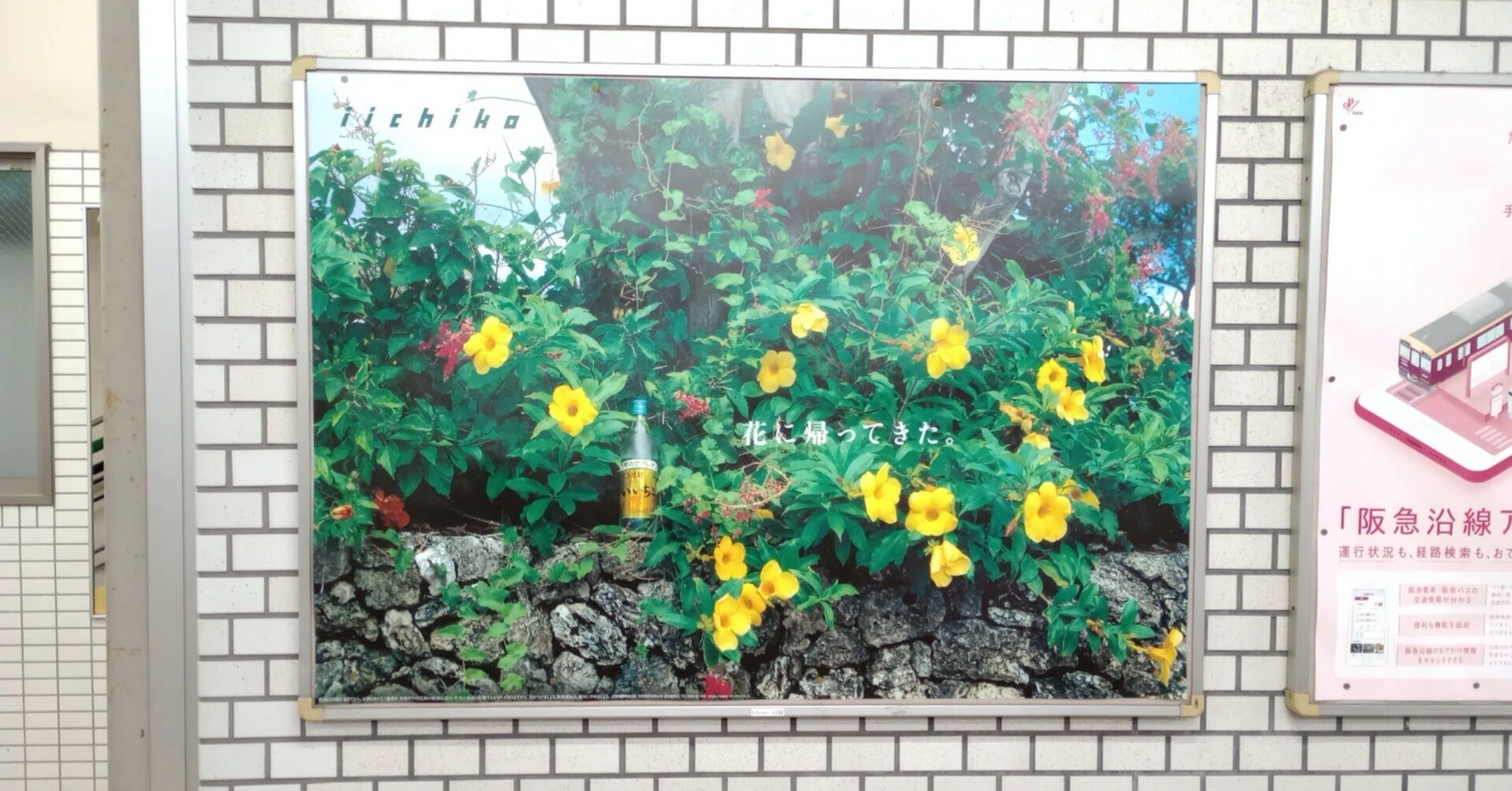 rectangle_large_type_2_b41a61d