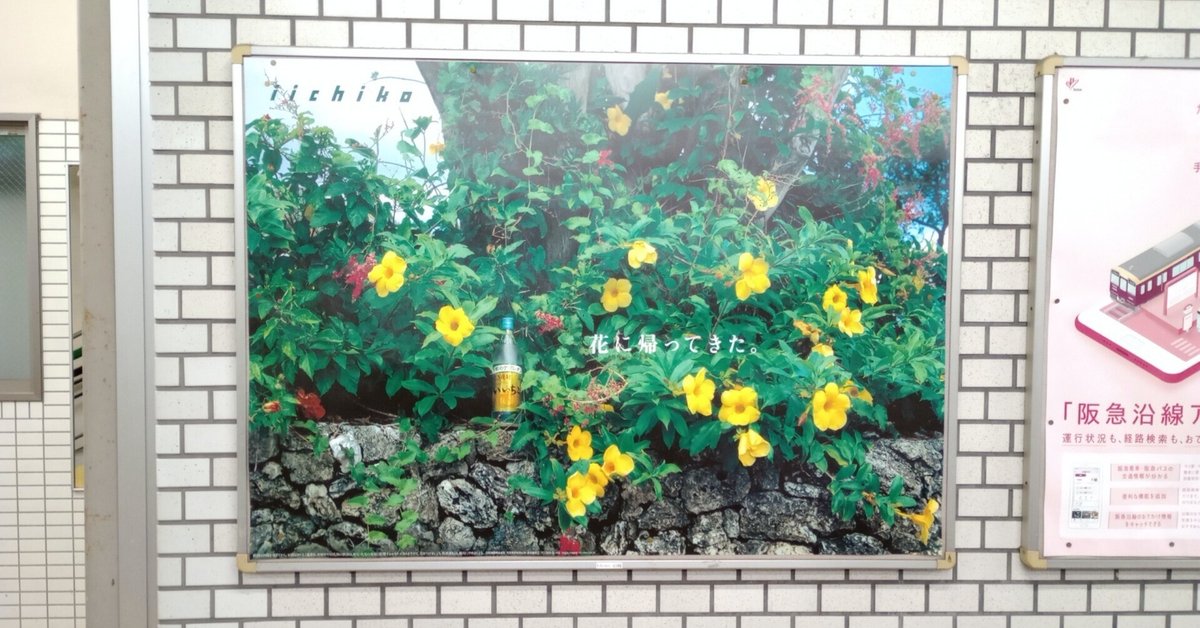 浅井慎平さんの感性｜EXPわくい