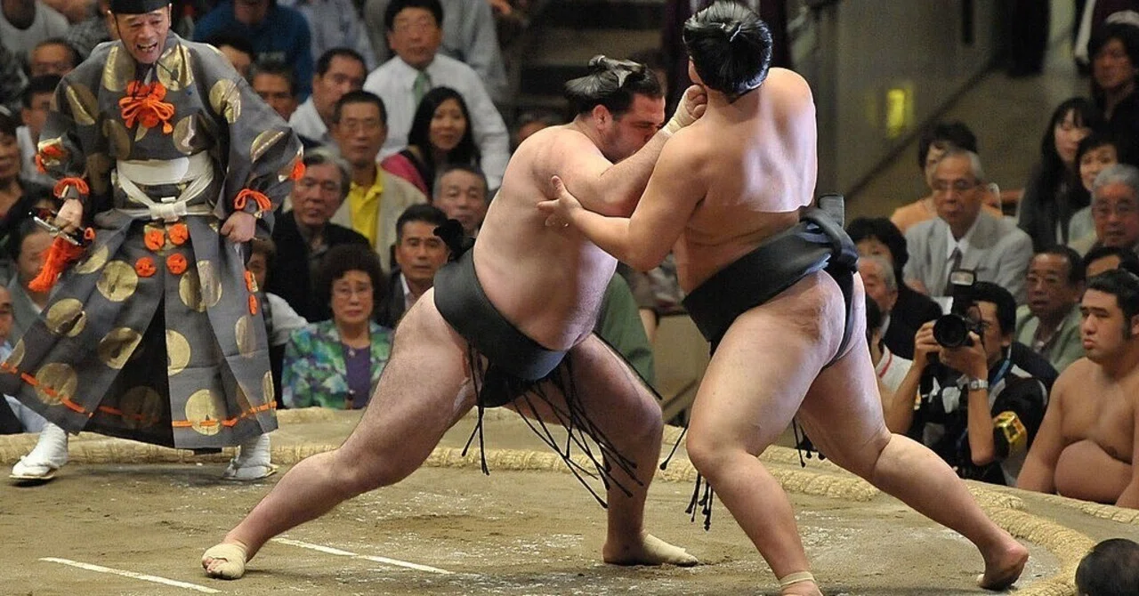 日本 で 人気 の スポーツ