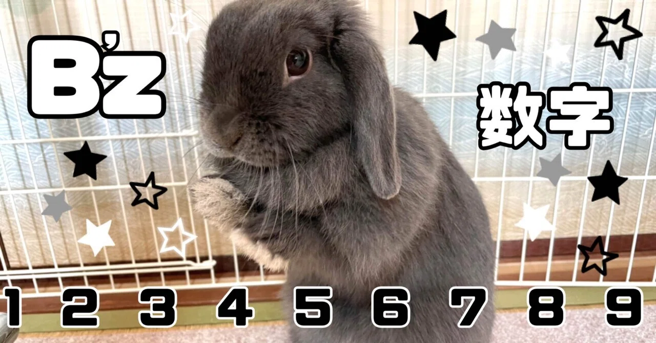 B'z カモン ハンコとリストバンドのみ