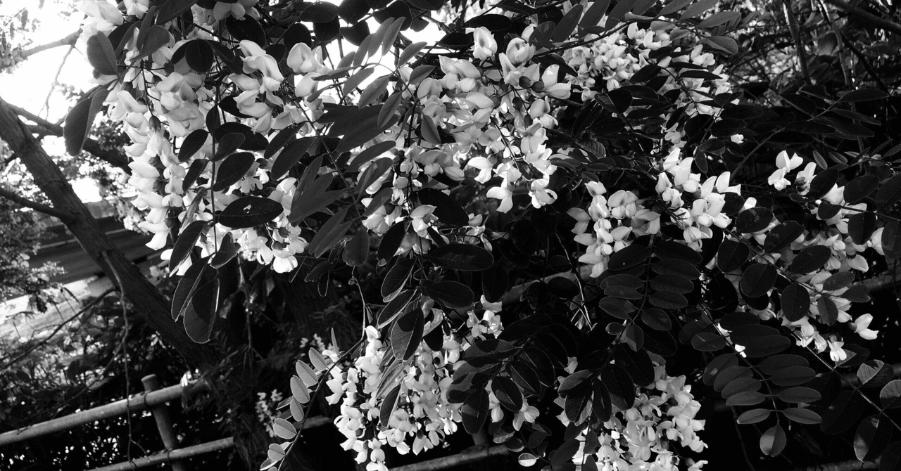 書く習慣day22 執着を捨て 孤独を愛すること 宮本 デン Note