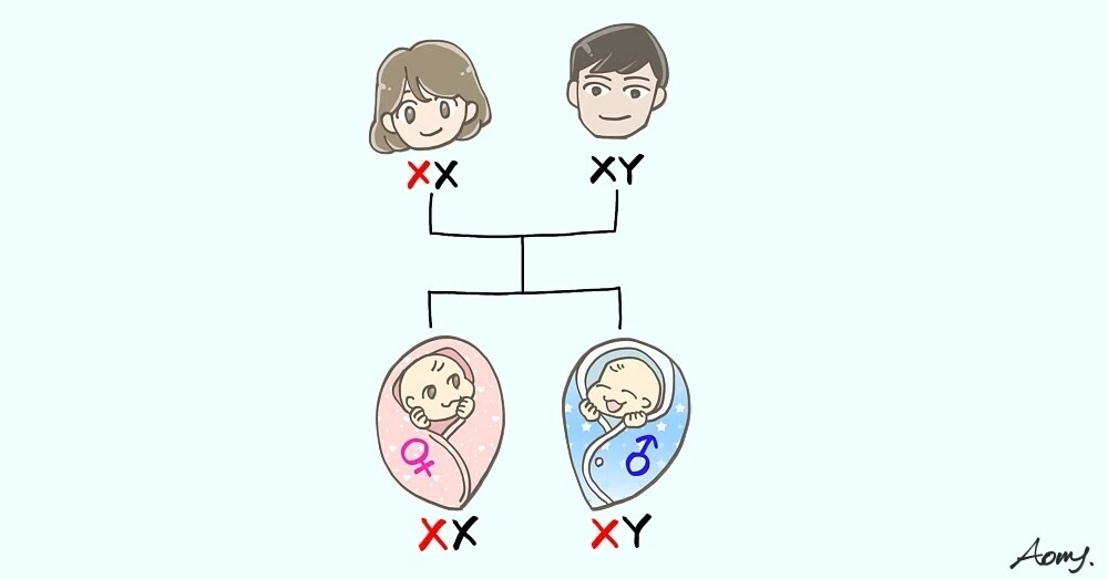 画像17