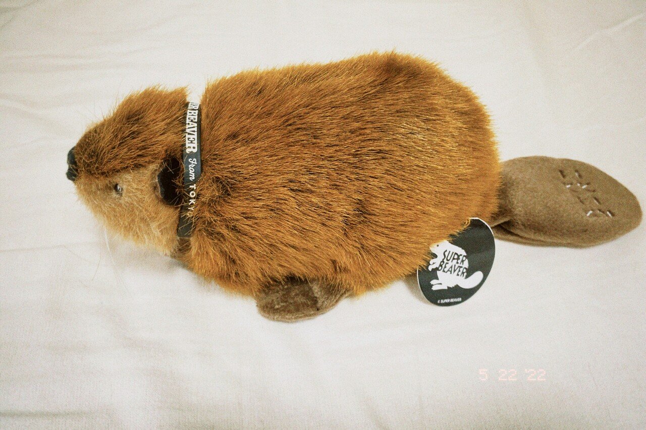 SUPER BEAVER スーパービーバーちゃん ぬいぐるみ SUPER BEAVER スーパービーバーちゃん ぬいぐるみ