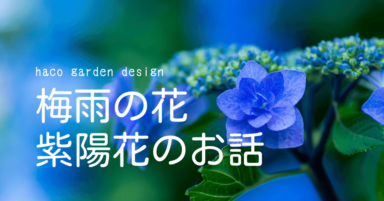 梅雨の花ー紫陽花のお話その 魅力的な品種をご紹介 Haco ガーデンプランナー 庭のある暮らし植物のある暮らし Note