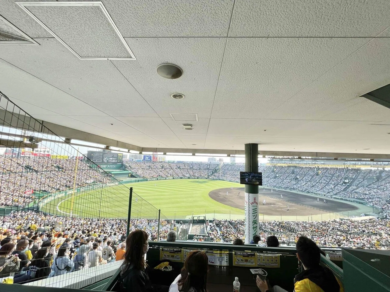野球観戦はエンタメの総力戦だ｜あやめし