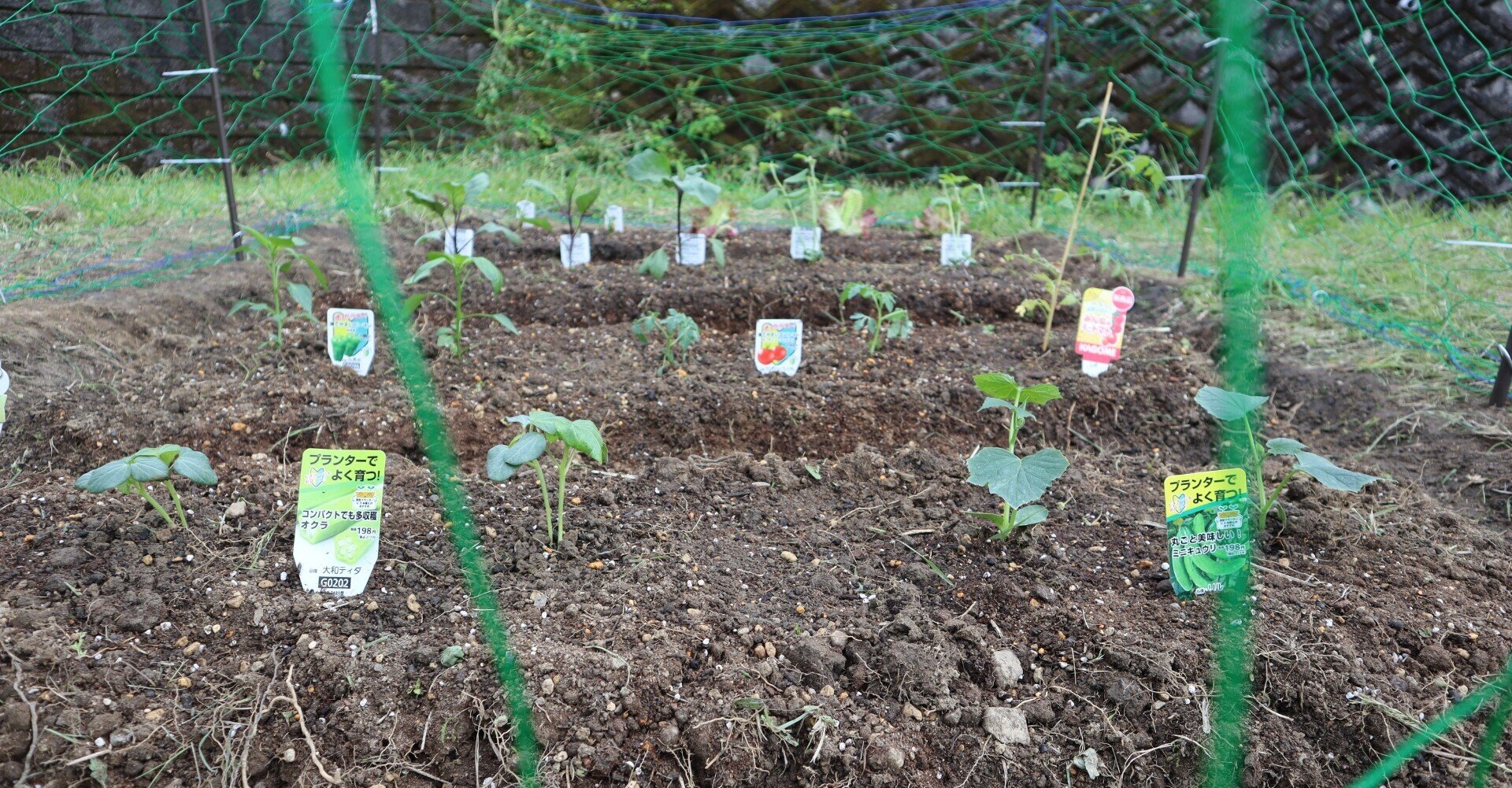 小さな畑はじめました Soni Summit Note 小さな畑はじめました Soni Summit Note