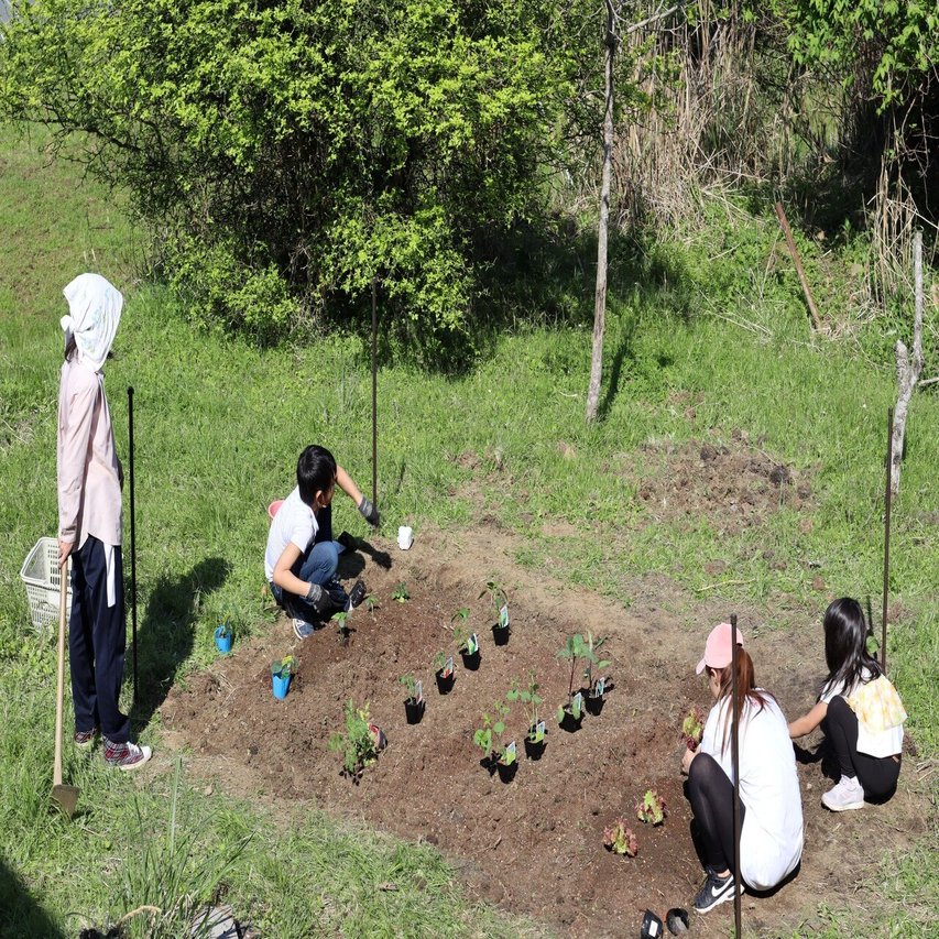 小さな畑はじめました Soni Summit Note