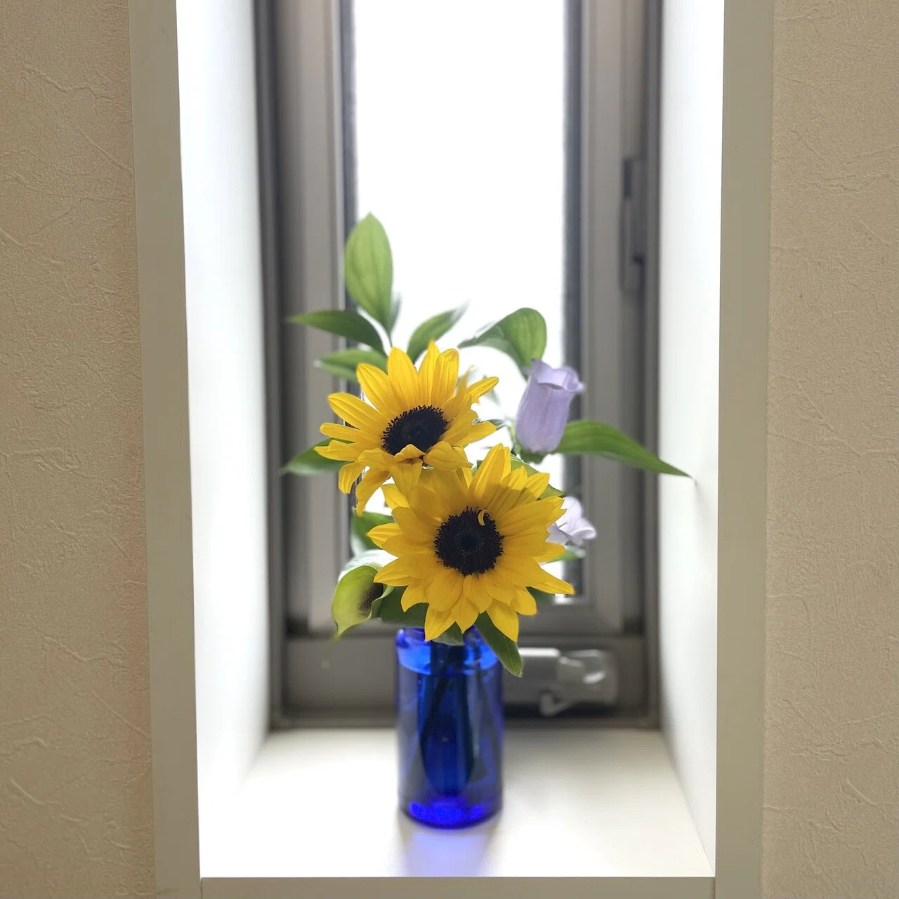 まだ頑張ってるルスカスとカラーに 新たにひまわりとカンパニュラを足した ひまわりの花言葉 は 未来を見つめる らしい 雨だし暗いニュースは多い日々 私はどんな未来を見つめるのか 未来を見るには過去を振り返 リサ リン Note まだ頑張ってるルスカスとカラーに 新たにひまわりとカンパニュラを足した ひまわりの花言葉 は 未来を見つめる らしい 雨だし暗いニュースは多い日々 私はどんな未来を見つめるのか 未来を見るには過去を振り返 リサ リン Note