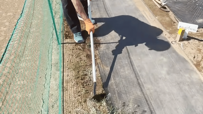 家庭菜園 梅雨前に準備したい雑草対策の鎌の種類と使い方についてご紹介 井上寅雄農園 井上隆太朗 Note