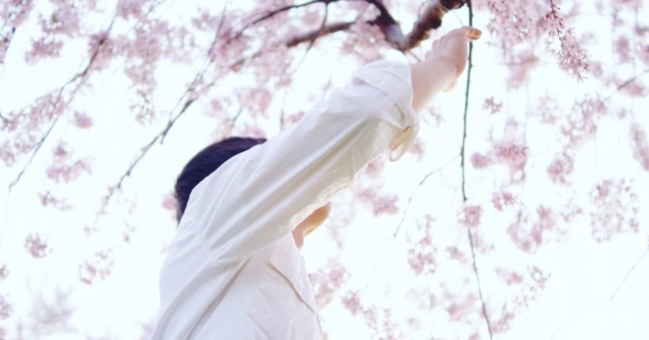 The Dress Shirt Brought My 'Color' Back｜瑞野蒼人 mizuno aohito