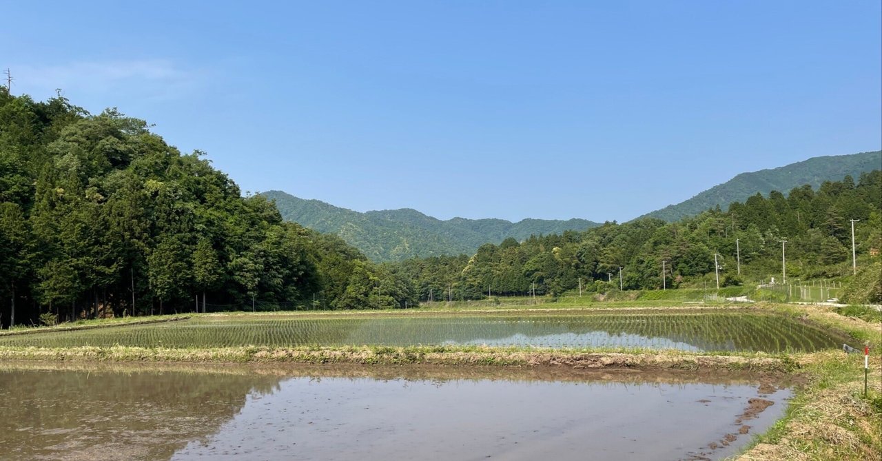 田植え体験、頭をからっぽにして楽しんできました!|mOrganics