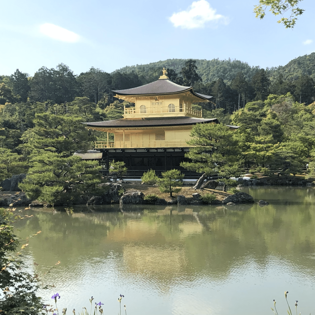 金閣寺」「銀閣寺」のお札の謎｜壁紙デコ｜壁紙を“壁に貼らない” 壁紙