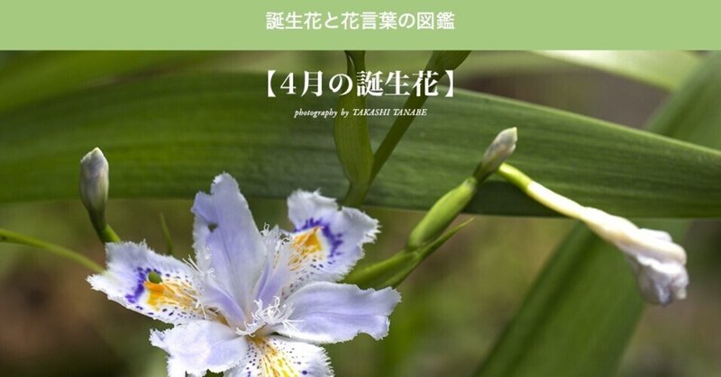 4月「note」に投稿した草・花・木の電子書籍の紹介。