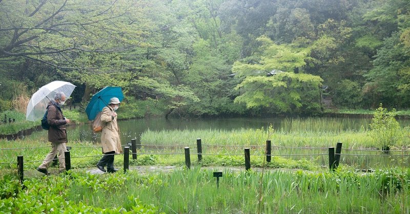 （公）日本鳥類保護連盟・元理事 栁澤紀夫先生とバードウォッチングしてきた／森のヒト